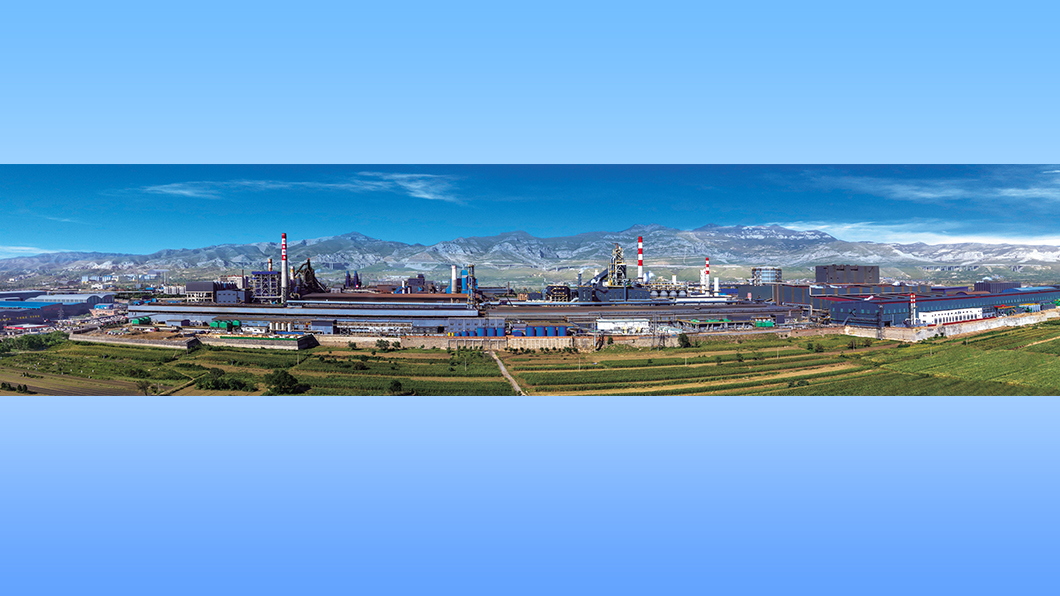 宏達(dá)集團(tuán)全貌